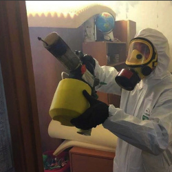 Уничтожение клопов в квартире. Бухарестская